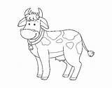 Cow Farm Coloring Coloringcrew sketch template