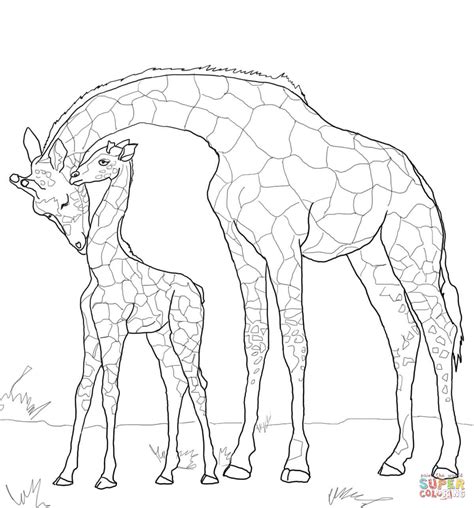 giraffe baby animal coloring pages coloring pages
