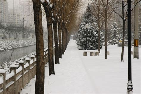 winter  beijing  stock photo public domain pictures