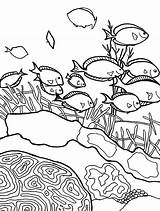 Fish Coral Reef Coloring Pages School Drawing Barrier Great Sea Printable Color Snake Getcolorings Kids Drawings Paintingvalley sketch template
