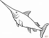 Swordfish Espada Spada Pesce Tiburones Pez Pescespada Peces Páginas Marpara Bel Imagui sketch template