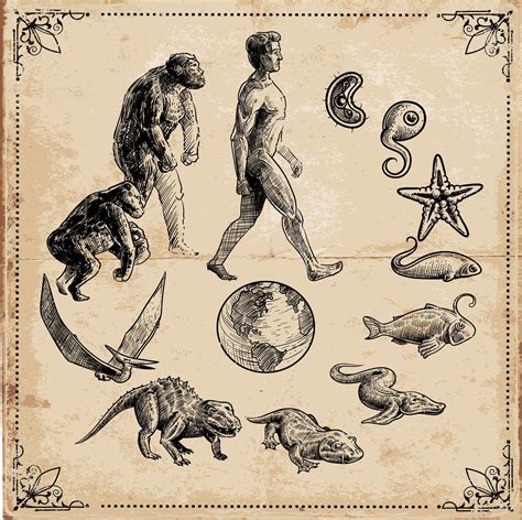 Comprobado Científicamente 140 Años Después Darwin Tenía Razón Arte
