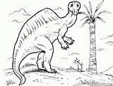 Coloring Pages Ouranosaurus Dinosaurs Saurolophus Omalovanky Dinosaurus Dinosauri Animals Print Size sketch template