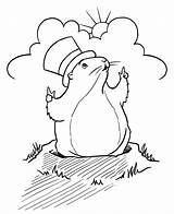 Groundhog Coloring Pages Kids sketch template