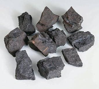 coal lignite student specimens wardsa coal lignite