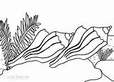 Muschel Marinas Conchas Naturaleza Cool2bkids Natur sketch template