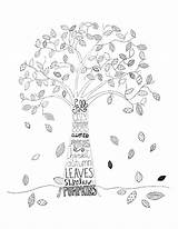 Coloring Tree Pages Evergreen Getcolorings Colouring Sheet Printable sketch template