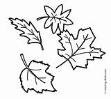Leaves Jungle Drawing Getdrawings Coloring Pages sketch template