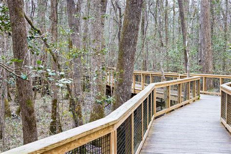 boardwalk trail congaree national park  roaming hiker