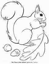 Coloring Squirrel Fall Template Animals Pages Printable Animal Color Kittens Three Little Autumn Google Drawing Para Popular Patterns Kids Craft sketch template