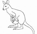 Wallaby Coloring Pages sketch template