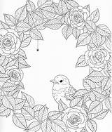 Color Blank Coloring Pages Templates Patterns Stencils sketch template