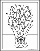 Tulip Tulips Bouquets Poplar Ribboned sketch template
