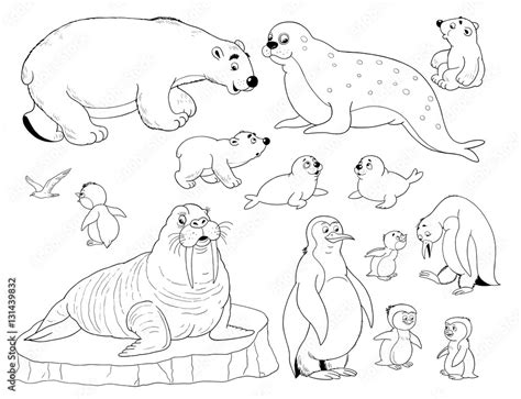 printable coloring pages arctic animals