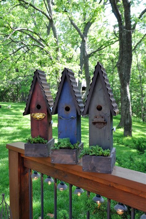 rebeccas bird gardens products