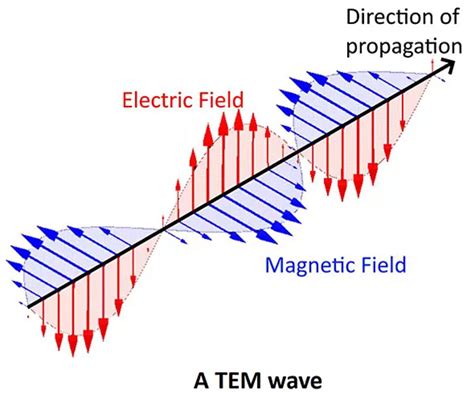 electromagnetism  magnetic field loops  formed  tem mode