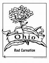 Ohio Coloring State Flower Pages Brutus Buckeyes Football Osu Drawing Buckeye Printable Kids Woojr Carnation Printables Red Jr Fresh Getdrawings sketch template