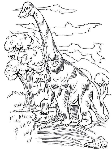 brachiosaurus coloring pages learny kids