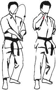 blue belt grading  kyu international karate kyokushinkaikan