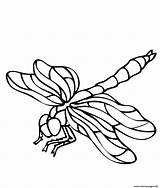 Dragonfly Coloring Pages Printable Print Dragonflies Drawing Simple Animals Outline Clipart Cartoon Color Prints Getdrawings Cliparts Template Library Realistic Kids sketch template