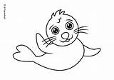 Coloring Pages Kids Baby Letsdrawkids Seal Draw Drawing Let Easy sketch template