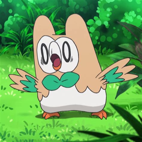 pokemon  twitter rowlet  constantly  entire mood