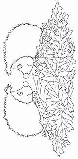 Animali Riccio Bosco Igel Ausmalbild Malvorlage Hedgehog Vengono Usate Dolcezza Segno Matite sketch template