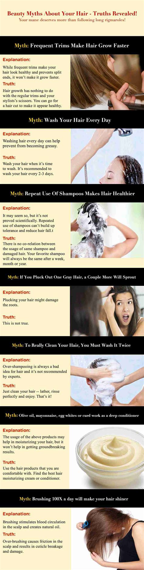 infographic beauty myths   hair truths revealed