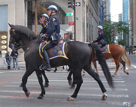 nyc nyc  york police departments  foot cops nypd mounted unit