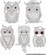Coloring Owl Pages Owls Stencils Tatuagem Adult Buho Colorpagesformom sketch template