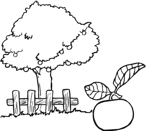 tree colouring clipart