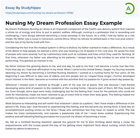 nursing  dream profession essay  studyhippocom