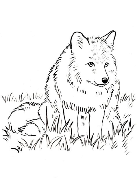 fox coloring page art starts