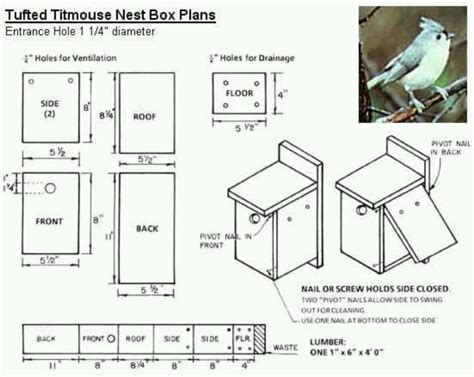 images  birdhouse  pinterest missouri conservation  birds