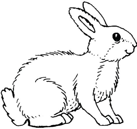 baby bunny coloring pages printable  getcoloringscom