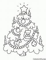 Albero Choinka Alberi Arboles Kolorowanka Weihnachtsbaum Colorkid Xmas Stampare Natalizie Decorazioni Abend sketch template