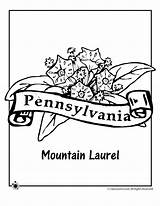 Coloring Pennsylvania Flower Pages State Kids Laurel Mountain Drawing Designlooter Jr Flag 880px 15kb Activities Drawings Choose Board sketch template