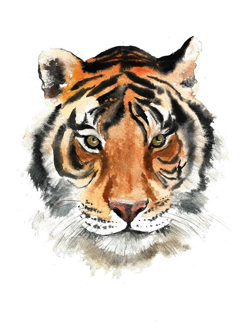 amazoncom tiger art  tiger watercolor animal print