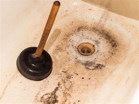 cure  slow  clogged bathtub drain   home
