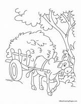 Cart Bullock Coloring Pages Kids Piled High Straw Rice Bestcoloringpages Sheets Printables sketch template