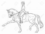 Dressage Cheval Pferde Pferd Dressur Reiter Skizze Lizenzfreie Reiten Malvorlagen Cavallo Donna Dressurpferde Montant Illustrationer Skizzen Zeichnungen Caballos Erwachsene sketch template