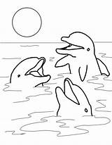 Kleurplaat Dolfijnen sketch template