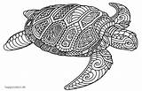Mandala Turtle Coloring Pages Animal Animals sketch template