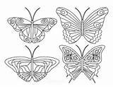 Butterfly Butterflies sketch template