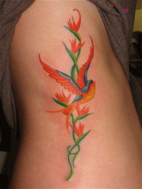 tetovaze galerija tetovaze galerija ptice