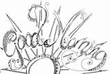 Zentangle Tangle Getdrawings Zenspirations sketch template