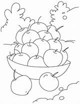 Colorat Cirese Cereja Planse Fructe Visine Desenho şi Fructele Să sketch template