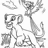 Lion King Coloring Simba Scar Zazu Evil Color Kids sketch template