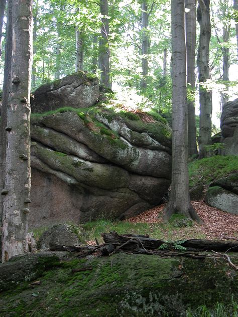 imageafter  rocks rock formation endor trees forest forrest dense jungle slabs heavy