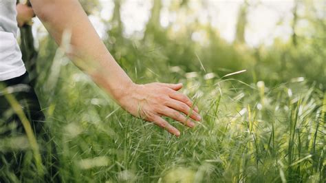 time  log   touch grass trendradars